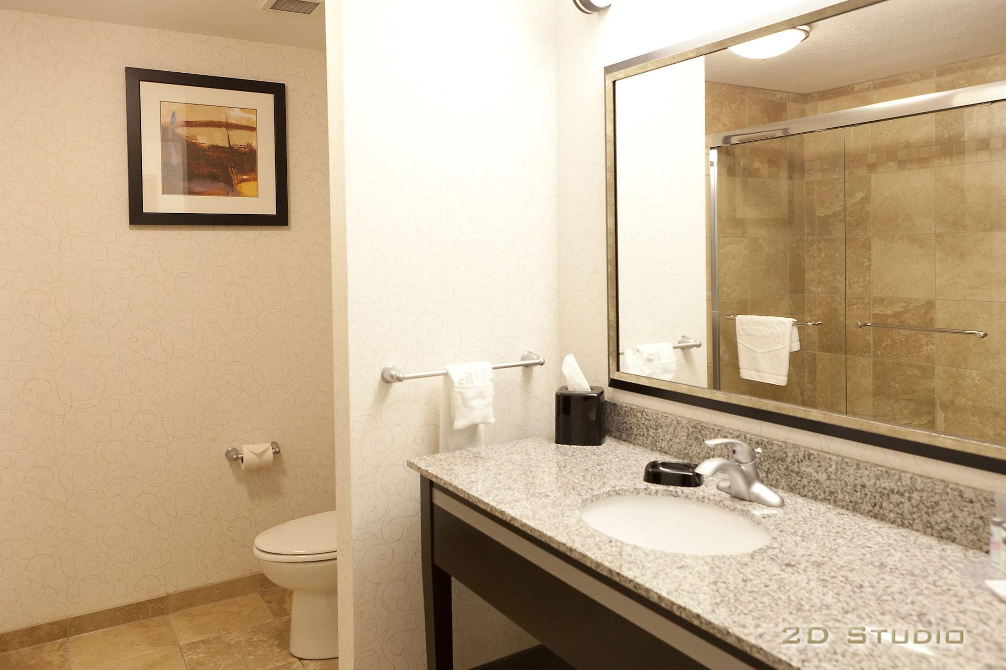 Hampton Inn & Suites By Hilton Lethbridge Extérieur photo